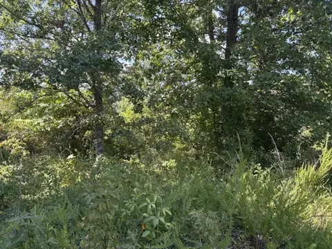 1668 Goff Rd, Harrison, AR 72601 photo 5