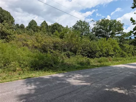 Parliment Drive, Harrison, AR 72601 photo 2