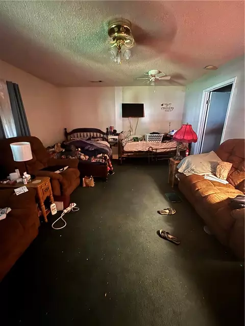 Other - 3 S 5th Ave, Dardanelle, AR 72834 photo 3 of 3