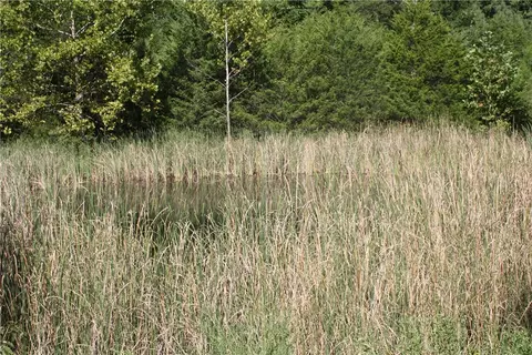 5502 E Highway 202, Flippin, AR 72634 photo 15