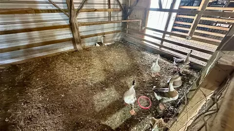 Other - 13585 Andy Jack Rd, Rogers, AR 72756 photo 16 of 25