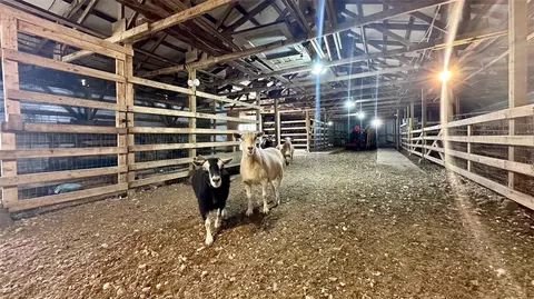 Other - 13585 Andy Jack Rd, Rogers, AR 72756 photo 15 of 25