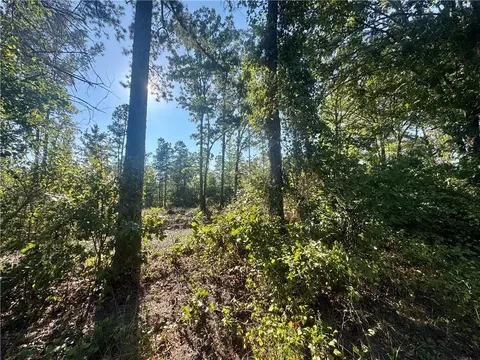 5 Melvin Ln, Dover, AR 72837 photo 6