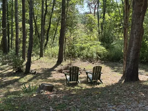 Exterior - 163 Nc 8482, Deer, AR 72628 photo 20 of 21