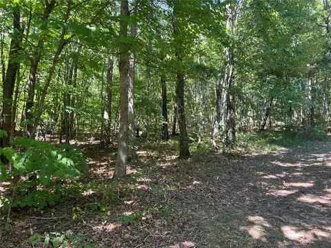 Exterior - 163 Nc 8482, Deer, AR 72628 photo 13 of 18