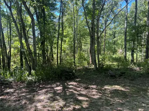 Exterior - 163 Nc 8482, Deer, AR 72628 photo 15 of 18