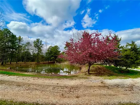 Exterior - 91 Nc 2302, Jasper, AR 72641 photo 7 of 10