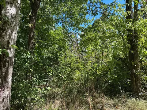 Eaasement, Marble Falls, AR 72648 photo 3