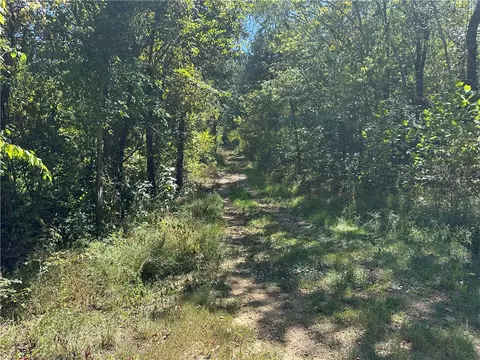 Eaasement, Marble Falls, AR 72648 photo 2