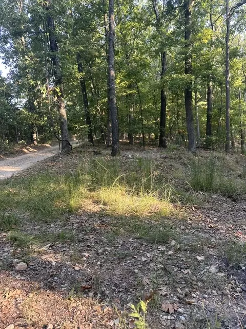 tbd Windsong Ln, Eureka Springs, AR 72631