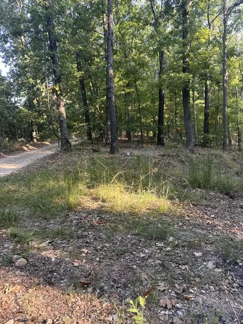 tbd Windsong Ln, Eureka Springs, AR 72631