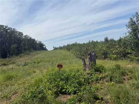 000 Williams Ridge Dr, Dover, AR 72837 photo 5
