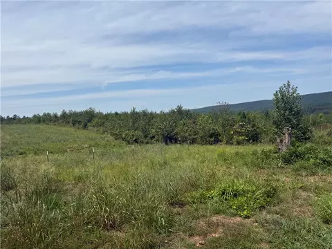 000 Williams Ridge Dr, Dover, AR 72837 photo 6