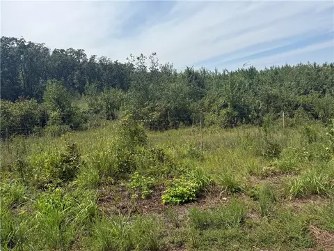 000 Williams Ridge Dr, Dover, AR 72837 photo 3
