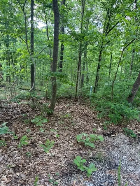 Eston Lane, Bella Vista, AR 72714