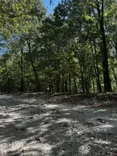 Cr 1520 & Tbd Amble, Eureka Springs, AR 72632