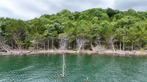Cedar Forest Drive, Rogers, AR 72732 photo 11