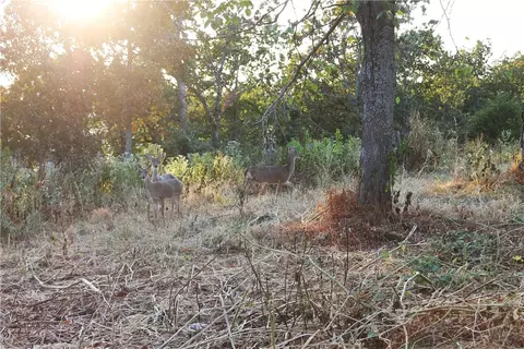 1667 Madison 6345, Wesley, AR 72773 photo 3