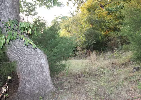 1667 Madison 6345, Wesley, AR 72773 photo 14