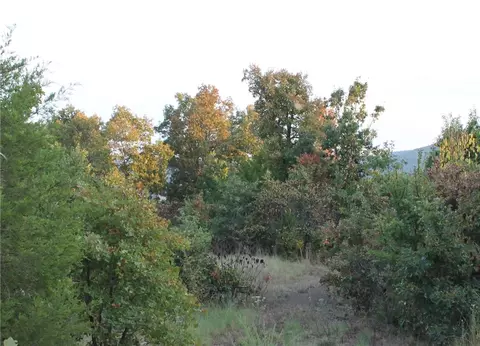 1667 Madison 6345, Wesley, AR 72773 photo 12