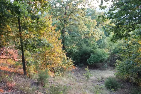 1667 Madison 6345, Wesley, AR 72773 photo 17