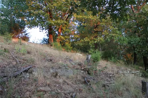 1667 Madison 6345, Wesley, AR 72773 photo 18