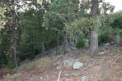 1667 Madison 6345, Wesley, AR 72773 photo 21