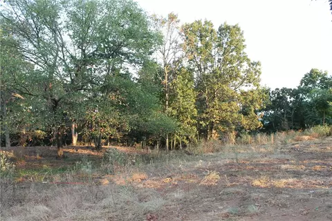 1667 Madison 6345, Wesley, AR 72773 photo 5
