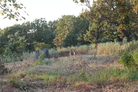 1667 Madison 6345, Wesley, AR 72773 photo 4
