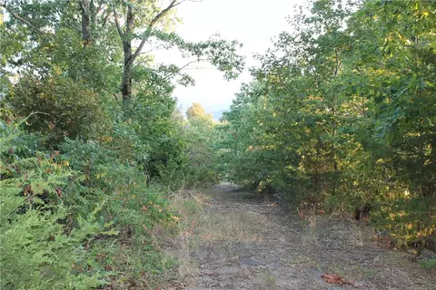1667 Madison 6345, Wesley, AR 72773 photo 11