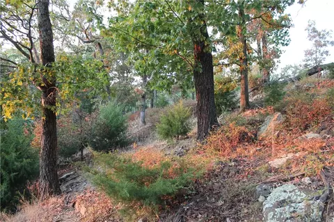 1667 Madison 6345, Wesley, AR 72773 photo 19