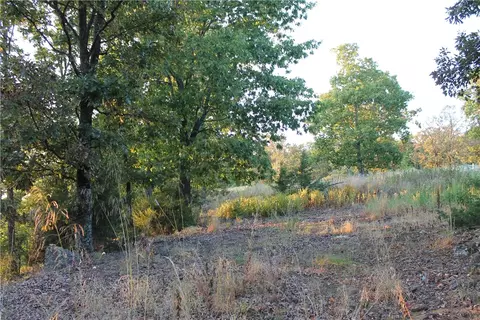 1667 Madison 6345, Wesley, AR 72773 photo 10
