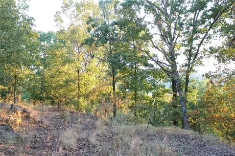 1667 Madison 6345, Wesley, AR 72773 photo 6