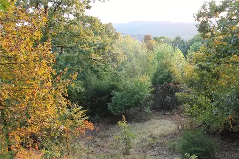 1667 Madison 6345, Wesley, AR 72773 photo 16