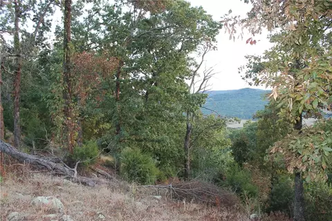1667 Madison 6345, Wesley, AR 72773 photo 20