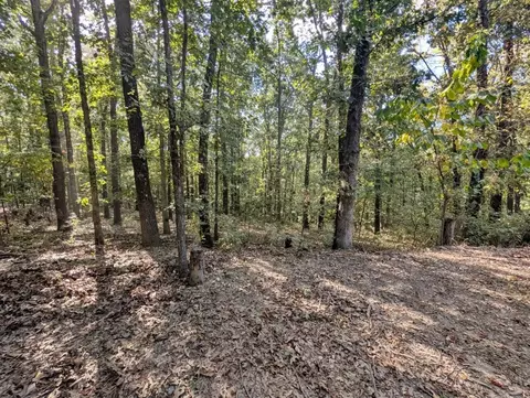 14159 New Hope Rd, Omaha, AR 72662 photo 8
