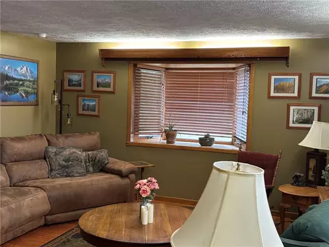 Living - 237 Meadowlark Dr, Harrison, AR 72601 photo 5 of 5