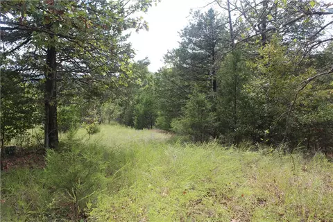 Other - 7727 Mc 6064, Flippin, AR 72634 photo 2 of 17
