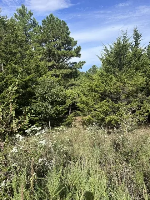tbd The Pines Rd, Springdale, AR 72764 photo 10