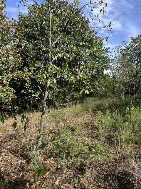tbd The Pines Rd, Springdale, AR 72764 photo 5