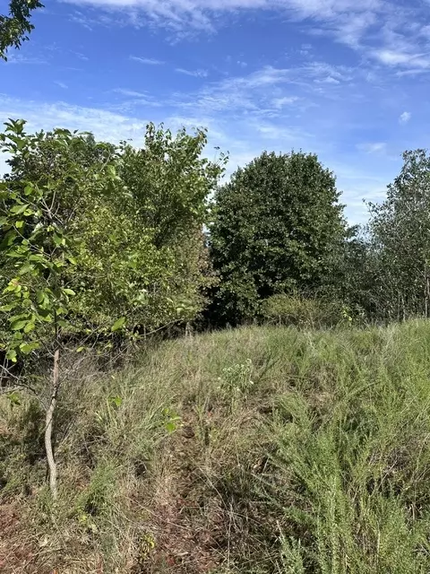 tbd The Pines Rd, Springdale, AR 72764 photo 4