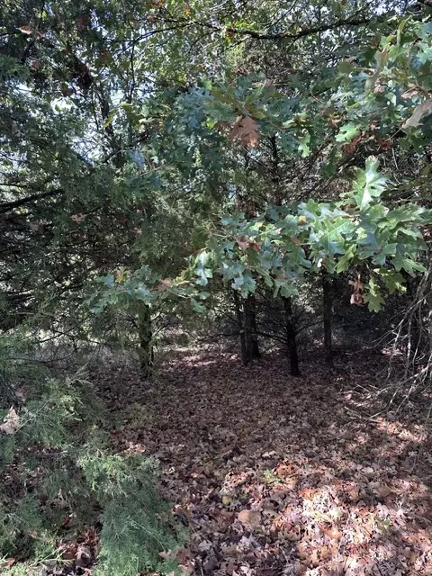 tbd The Pines Rd, Springdale, AR 72764 photo 6