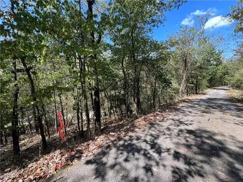 Parcel #925-01599-002 Tbd Vine Street, Eureka Springs, AR 72632