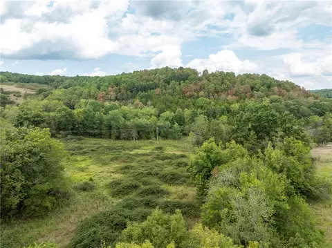 Capps Ranches Road, Rogers, AR 72756 photo 23