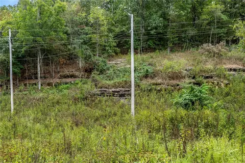 Capps Ranches Road, Rogers, AR 72756 photo 8