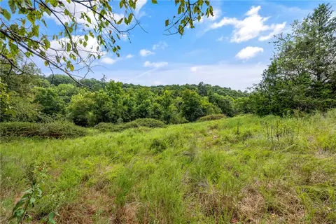 Capps Ranches Road, Rogers, AR 72756 photo 3