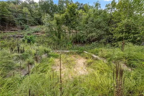 Capps Ranches Road, Rogers, AR 72756 photo 6