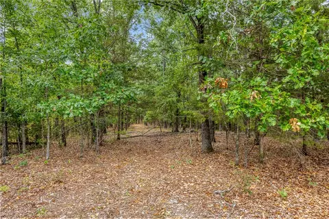Capps Ranches Road, Rogers, AR 72756 photo 5