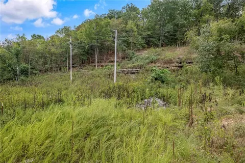 Capps Ranches Road, Rogers, AR 72756 photo 7