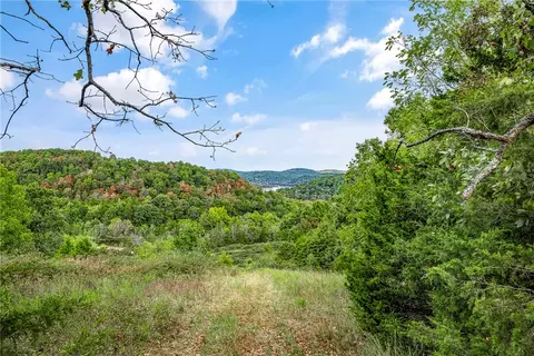 Capps Ranches Road, Rogers, AR 72756 photo 14